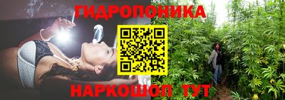 2c-b Обнинск